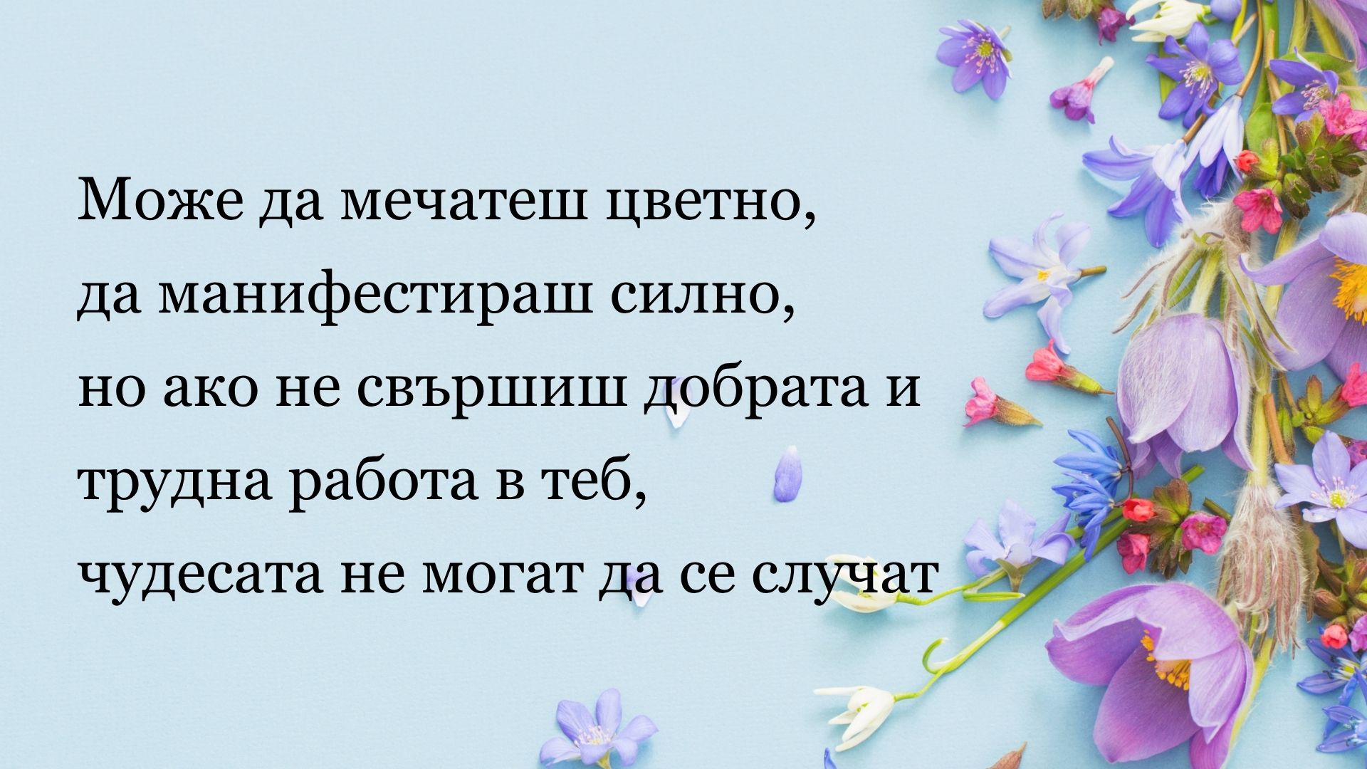 пакети организация сватба