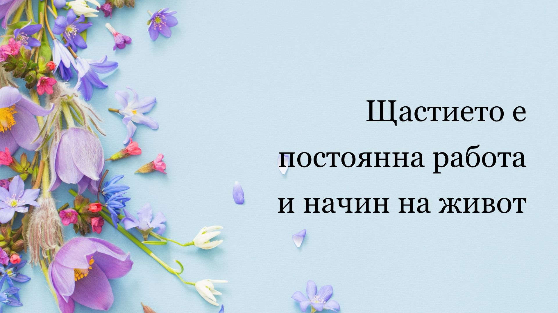 пакети организация сватба